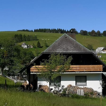 オーベルリート Schwarzwaldhaus Sonnenstrasse, Oberried-Hofsgrund, Dreisamtalヴィラ エクステリア 写真