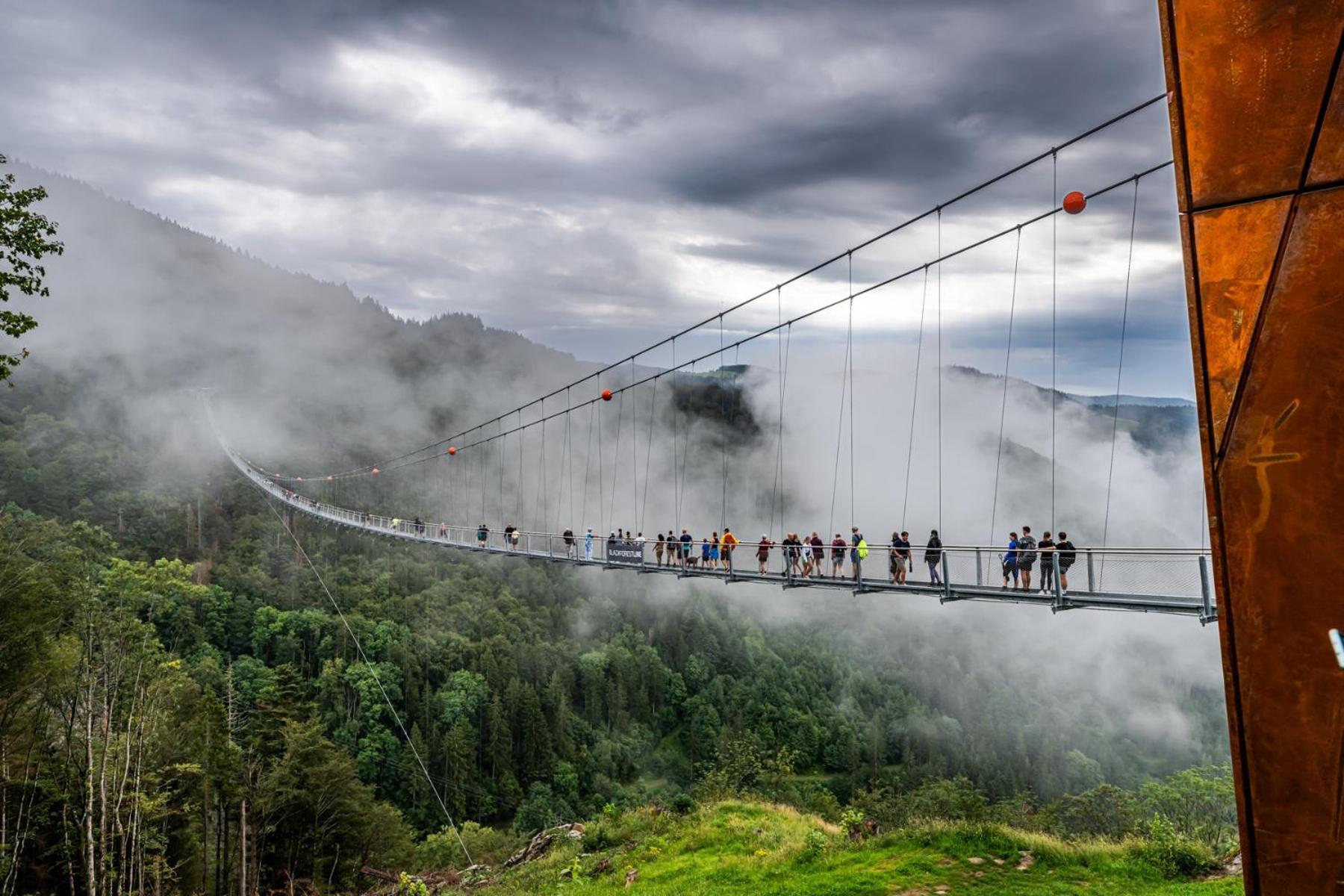 オーベルリート Schwarzwaldhaus Sonnenstrasse, Oberried-Hofsgrund, Dreisamtalヴィラ エクステリア 写真