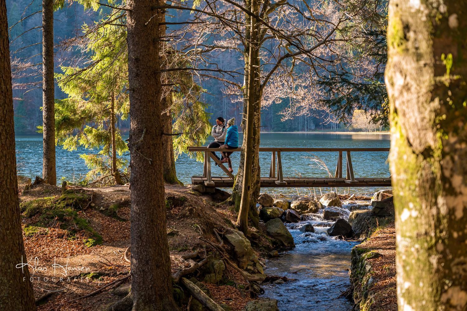 オーベルリート Schwarzwaldhaus Sonnenstrasse, Oberried-Hofsgrund, Dreisamtalヴィラ エクステリア 写真