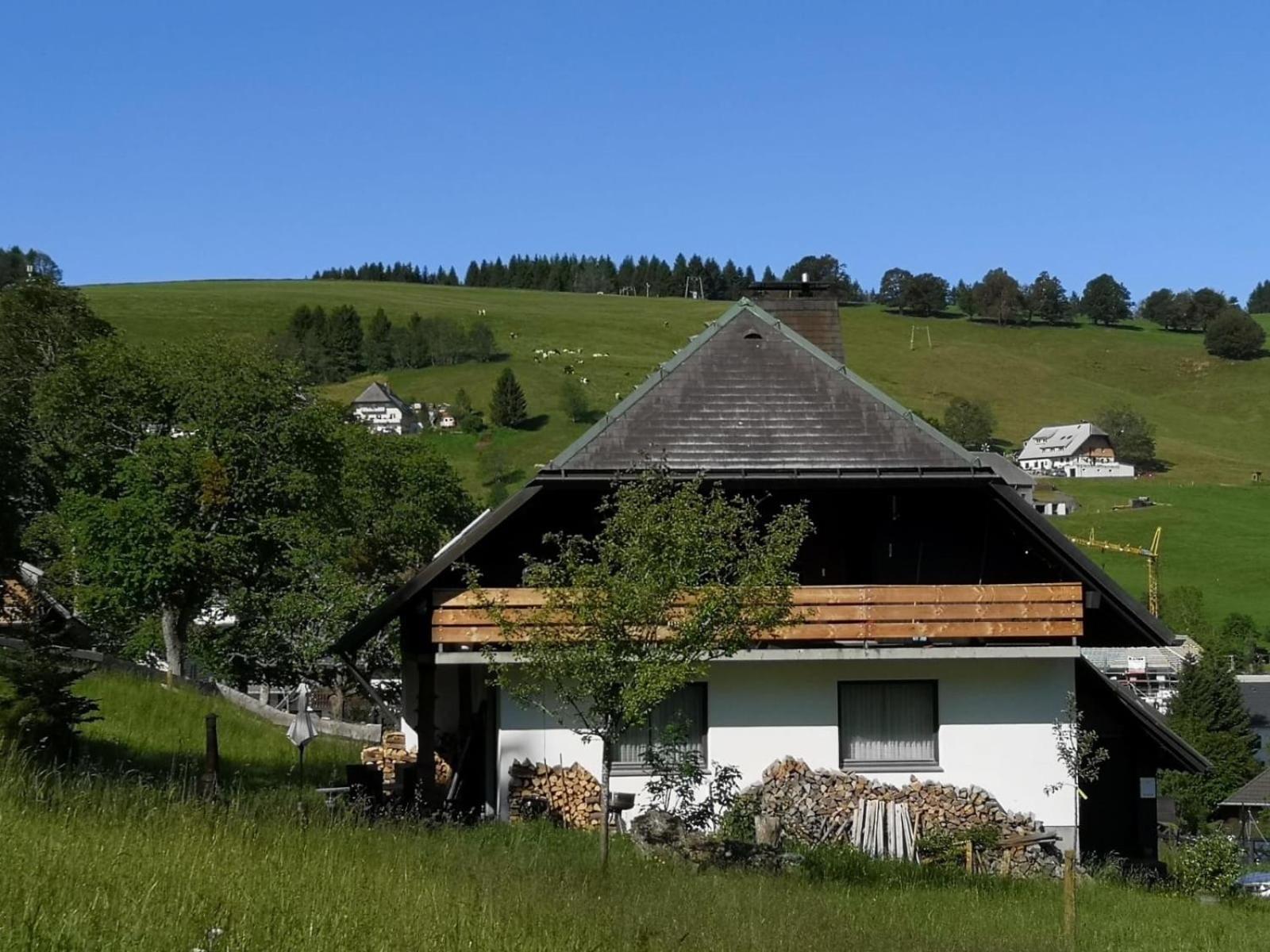 オーベルリート Schwarzwaldhaus Sonnenstrasse, Oberried-Hofsgrund, Dreisamtalヴィラ エクステリア 写真