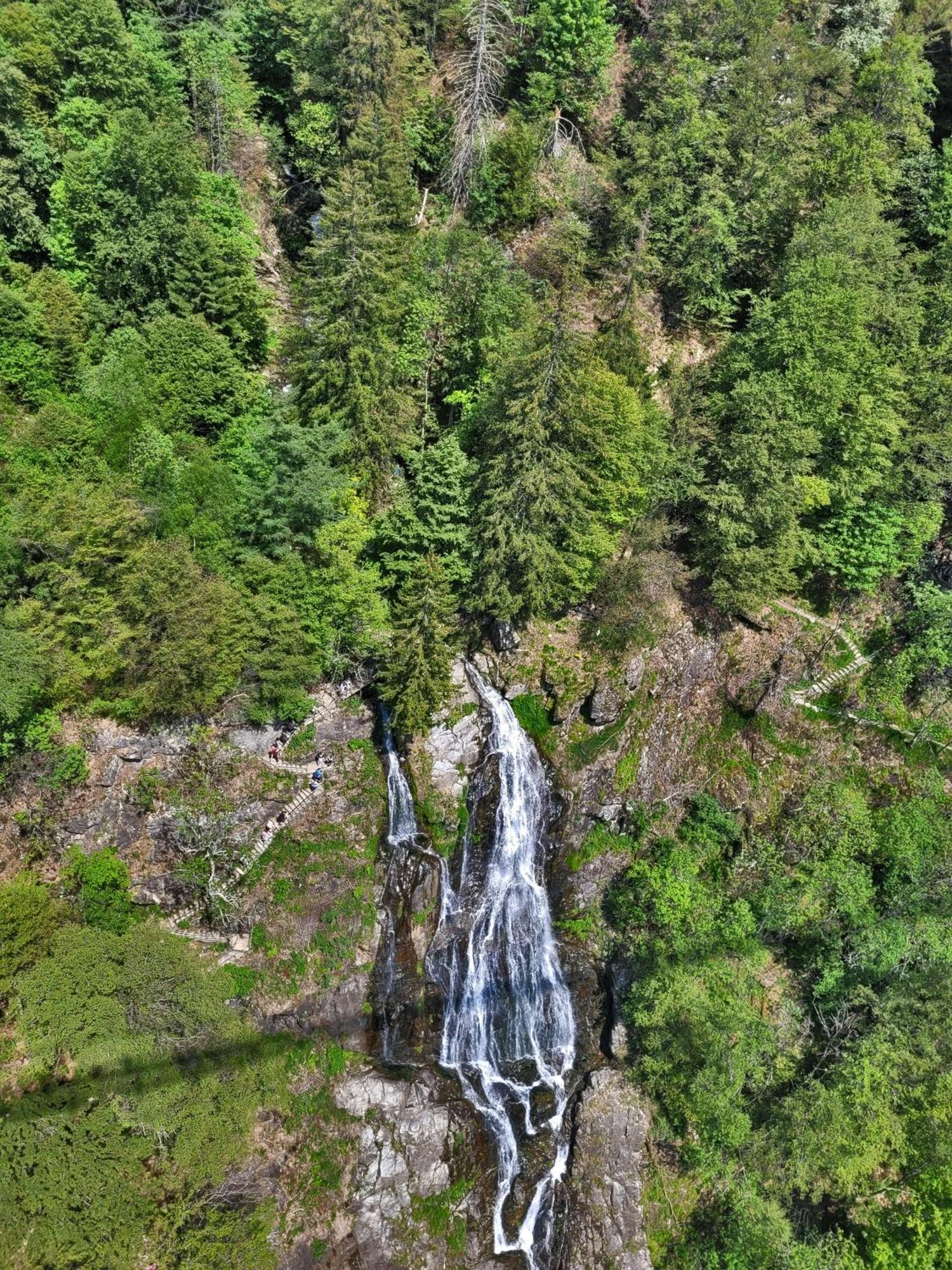 オーベルリート Schwarzwaldhaus Sonnenstrasse, Oberried-Hofsgrund, Dreisamtalヴィラ エクステリア 写真